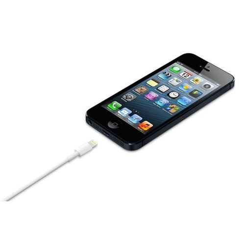 Câble Lightning Vers Usb (0,5 m)