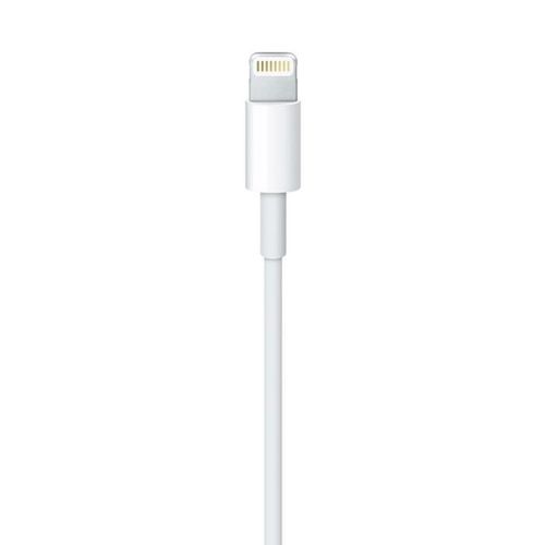 Câble Lightning Vers Usb (0,5 m)