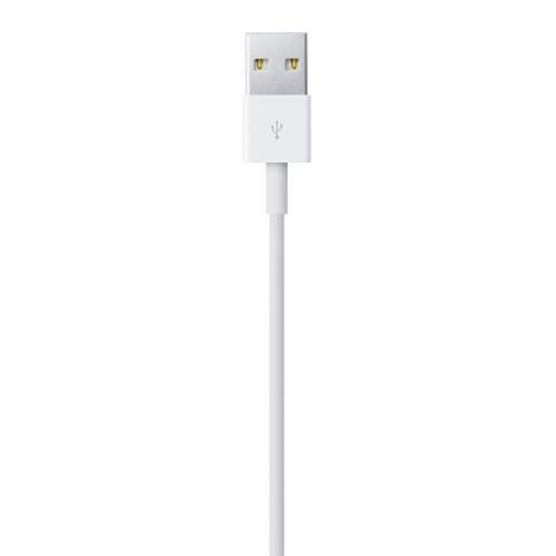 Câble Lightning Vers Usb (0,5 m)