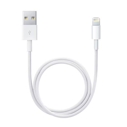 Câble Lightning Vers Usb (0,5 m)