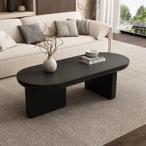 Table Basse Ovale 119x50x35,5cm Rangement Ouvert - Noir