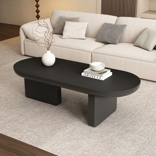 Table Basse Ovale 119x50x35,5cm Rangement Ouvert - Noir