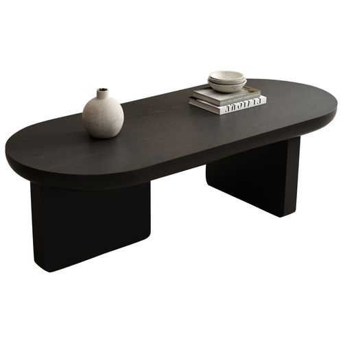 Table Basse Ovale 119x50x35,5cm Rangement Ouvert - Noir