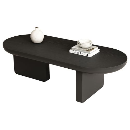 Table Basse Ovale 119x50x35,5cm Rangement Ouvert - Noir