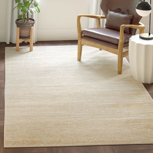 Tapis Adirondack 122 X 183 Cm Ombre Moderne Marius Beige