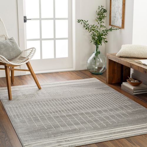 Tapis Scandinave Moderne Gris/beige 200x275 Cm Enso