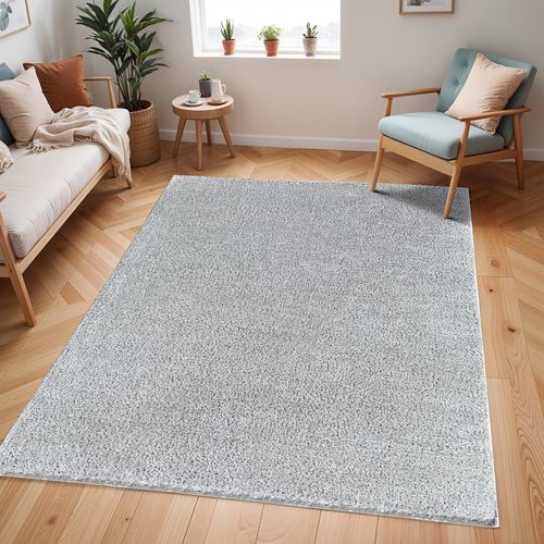 Tapis Shaggy Uni Gris Clair 200x275 Cm Claire
