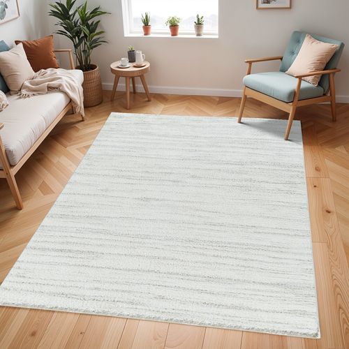 Tapis Shaggy Moderne Blanc/gris 200x275 Cm Adley