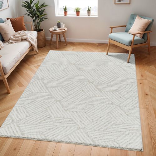 Tapis Shaggy Moderne Ivoire/beige 200x275 Cm Allie