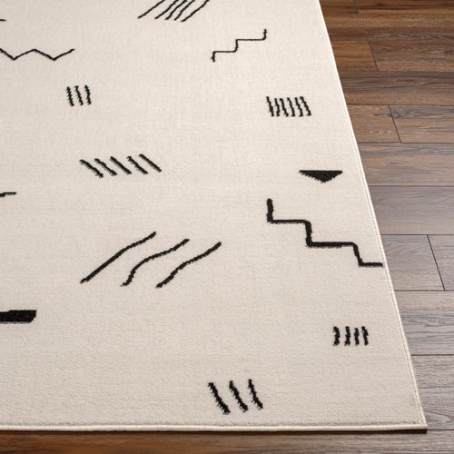 Tapis Scandinave Moderne Blanc/noir 152x213 Cm Biebe