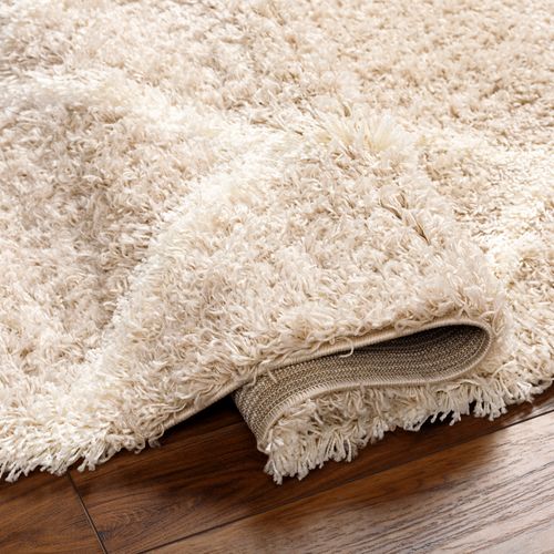 Tapis Shaggy Oriental Blanc/beige 160x220 Cm Judy