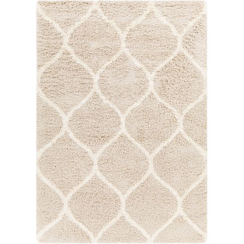Tapis Shaggy Oriental Blanc/beige 160x220 Cm Judy
