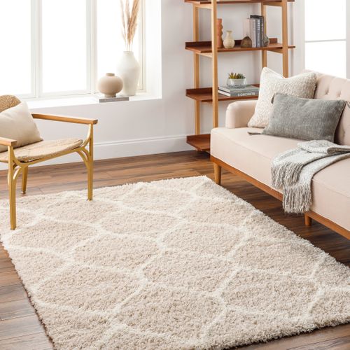 Tapis Shaggy Oriental Blanc/beige 160x220 Cm Judy