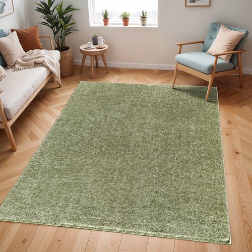 Tapis Shaggy Uni Vert 160x213 Cm Claire
