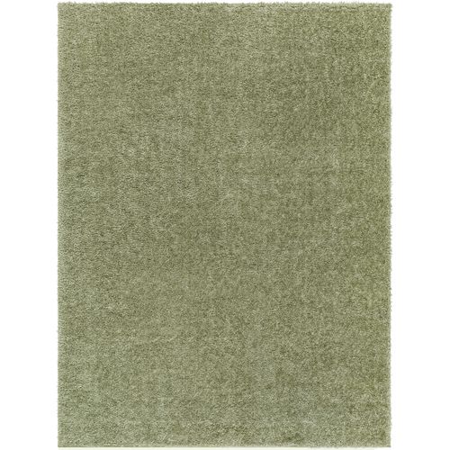 Tapis Shaggy Uni Vert 160x213 Cm Claire