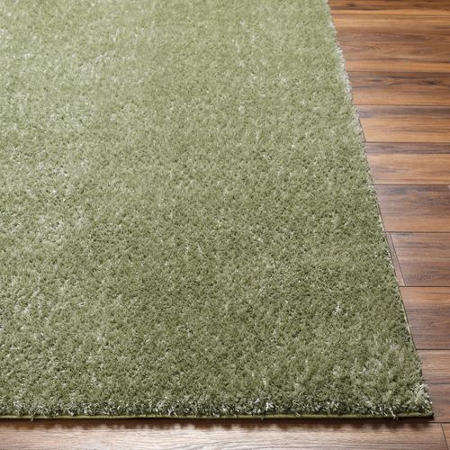 Tapis Shaggy Uni Vert 160x213 Cm Claire