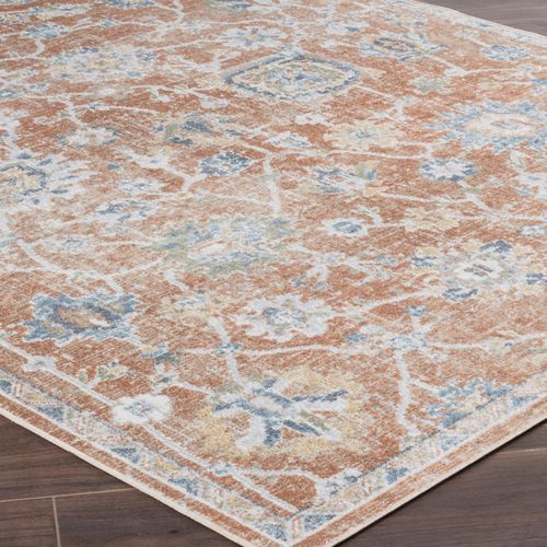Tapis Vintage Lavable En Machine Terracotta 120x170 Cm Ruby