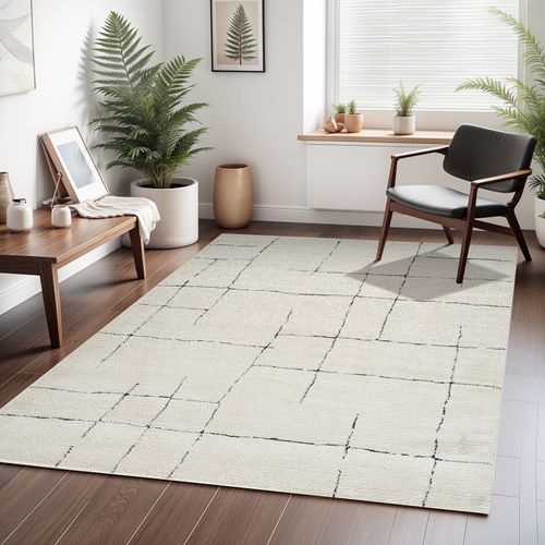 Tapis Scandinave Moderne Ivoire/gris 200x275 Cm Ava
