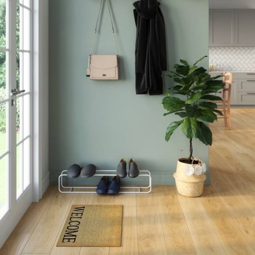 Paillasson 40x60 cm COCO Naturel