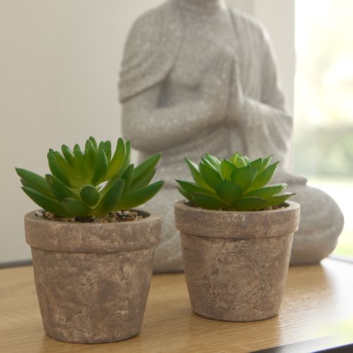 Succulente artif H. 9 cm PTIPO Vert