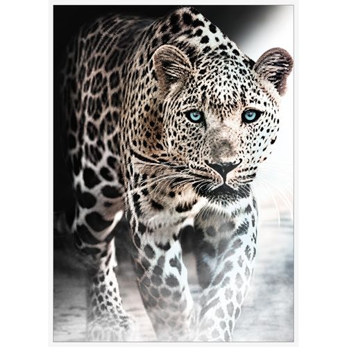 Toile 48x68 cm Panthère Noir et blanc