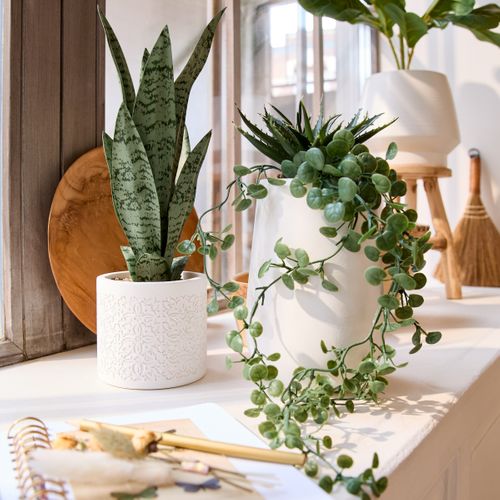 Plante artificielle H. 23 cm ANNA Blanc