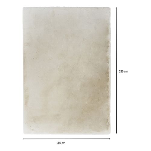 Tapis 200x290 cm JACOB Beige