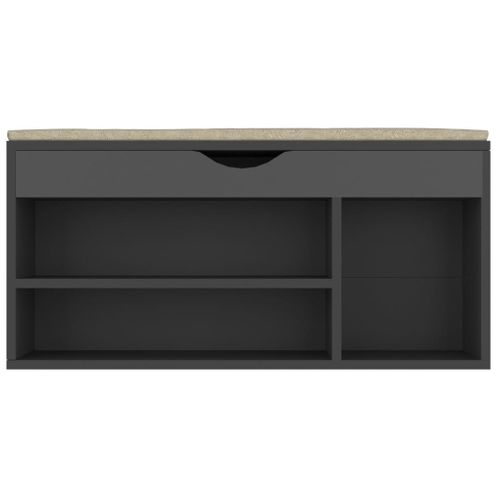 Banc à Chaussures Bottes Commode Étagère Meuble Entrée Rangement