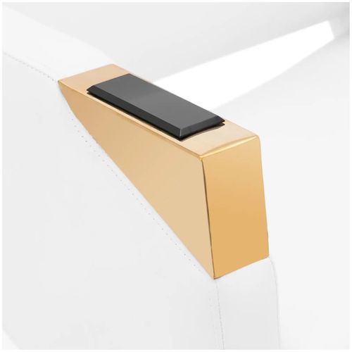 Fauteuil De Coiffeur Professionnel Avec Repose-pieds 200 Kg Acier Inoxydable Pvc Doré