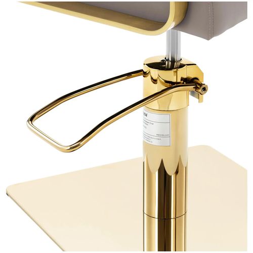 Fauteuil De Coiffeur Avec Repose-pieds 200 Kg Acier Inoxydable Beige Doré 14_0008956