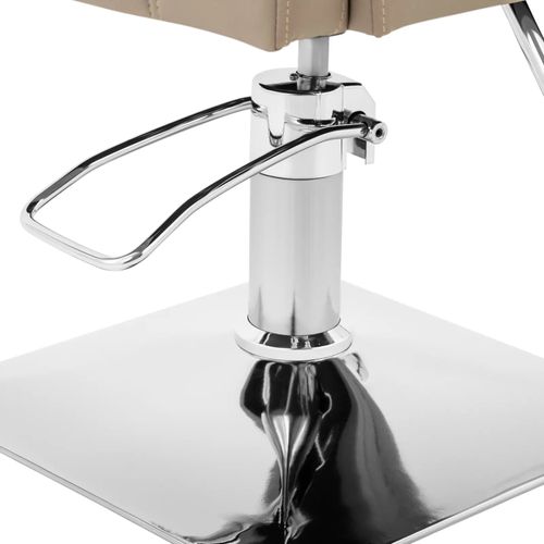 Fauteuil De Coiffure Professionnel Avec Repose-pieds Hauteur D'assise 45-55 Cm 150 Kg