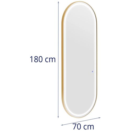 Poste De Coiffure Miroir Éclairage LED Ultra-plat Ovale 70 X 4 X 180 Cm Verre Acier