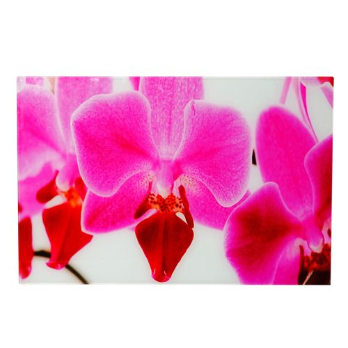 Image En Verre D'affiche Murale 40x60cm Motif Orchidée 04_0003368
