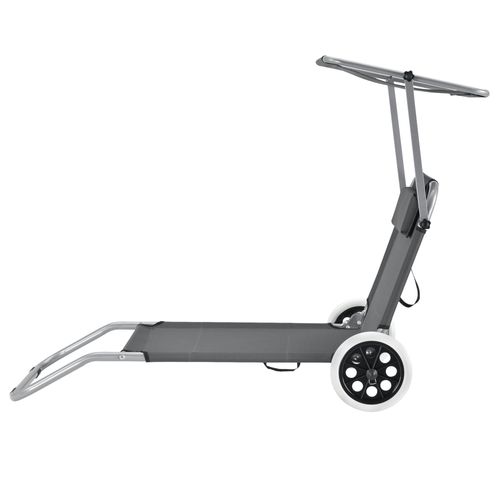 Transat Avec Brise-soleil Et Avec Roulettes Bain De Soleil Polyester Et Acier Revêtu