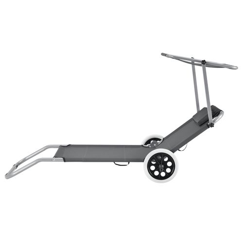 Transat Avec Brise-soleil Et Avec Roulettes Bain De Soleil Polyester Et Acier Revêtu