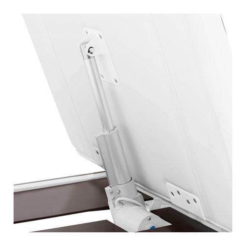 Fauteuil Esthétique De Soin Électrique Charge Max 200 Kg Blanc 14_0007780