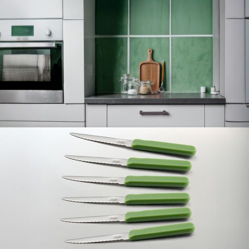 Energy - Set 6 Couteaux Steak