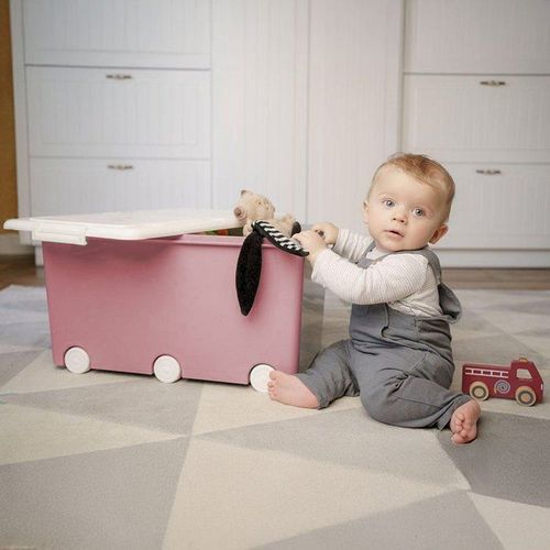 Coffre De Rangement - Playbox - Maxi - Rose