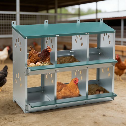 Pondoir Poules 6 Nids 86° Roule-œufs, Métal Acier Galvanisé Extérieur, Vert, Collecteur D’œufs