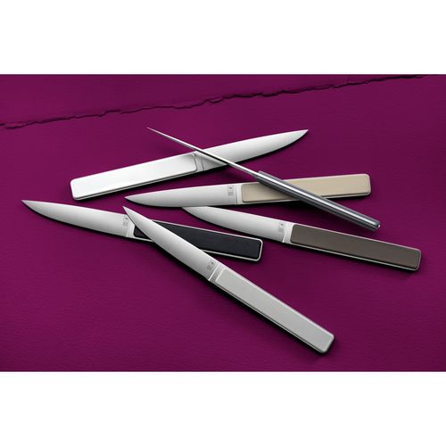 Coffret De 4 Couteaux à Steak Hector Glacier, Lame Lisse En Inox