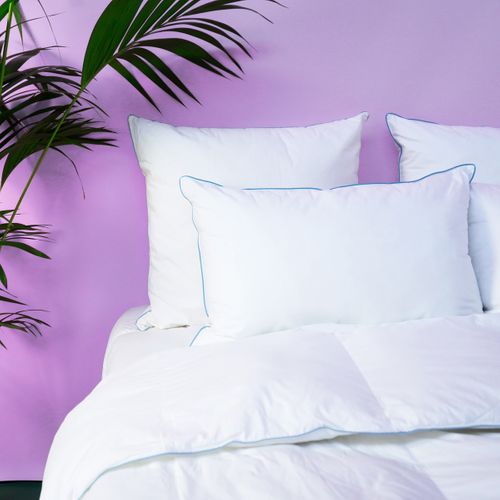 Oreiller Medium Sensation Duvet - Coton Bio - Olivier 50 X 70 Cm Blanc