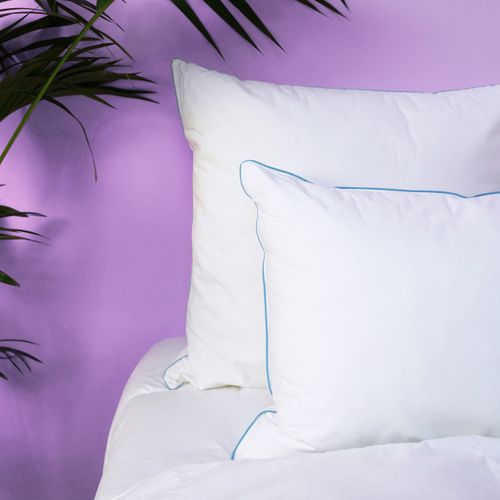 Oreiller Medium Sensation Duvet - Coton Bio - Olivier 60 X 60 Cm Blanc