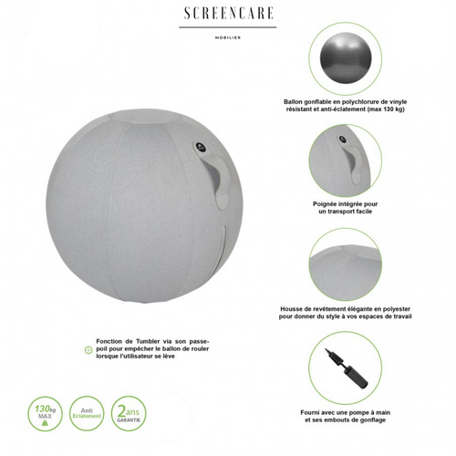 Swiss Ball Gris