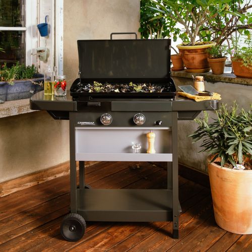 Barbecue gaz CAMPINGAZ 3000006755