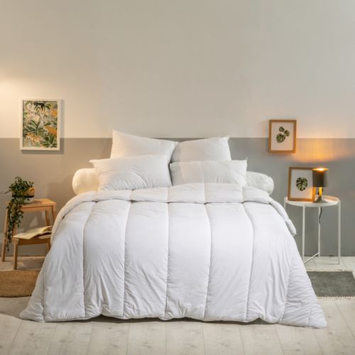 Lot De 2 Oreillers Moelleux 60x60cm Anti-acariens