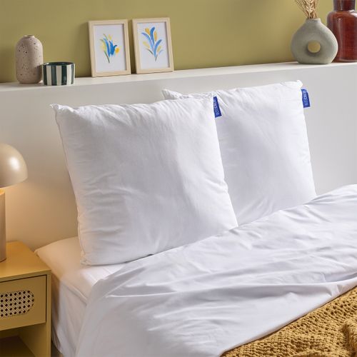 Lot De 2 Oreillers Moelleux 60x60cm Coton Bio