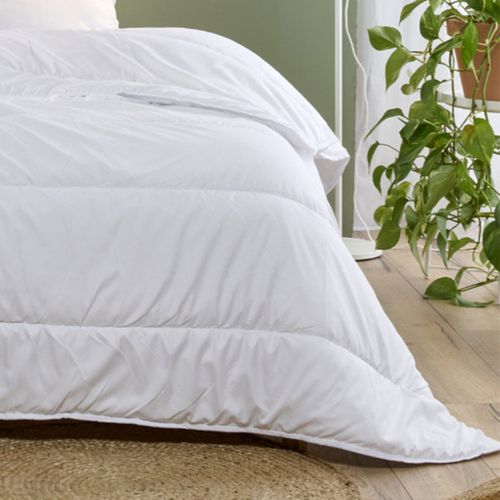 Couette Légère 200x200cm Coton Bio Printemps Été