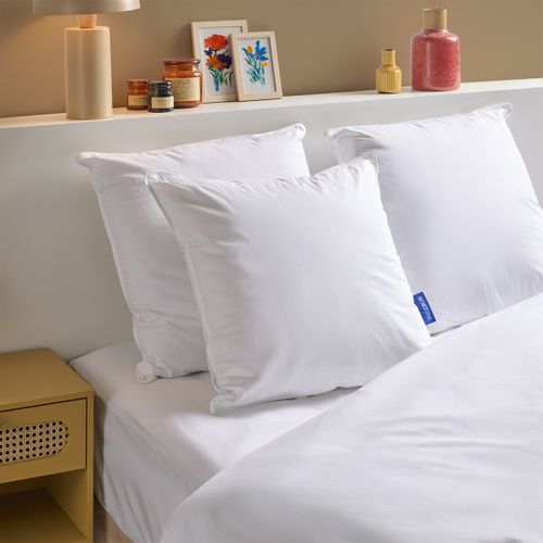 Oreiller Moelleux 60x60cm Gonflant 100% Coton