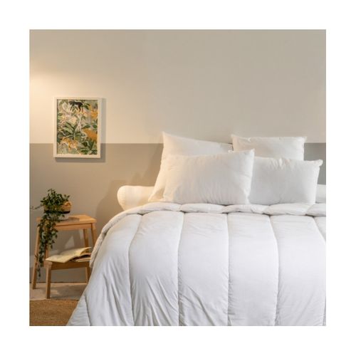 Oreiller Ferme 60x60cm Anti-acariens Traitement Sanitized