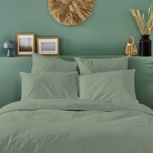 Taie D'oreiller Unie 50x75cm Percale Sauge